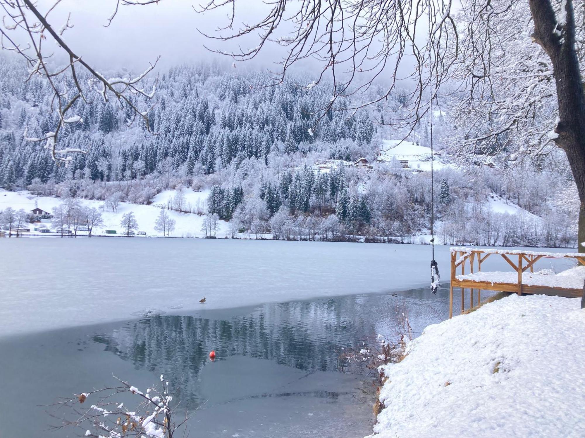 Seebrauer Erlach  Bagian luar foto